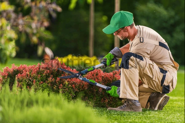 Gartenpflege Basis-Paket
